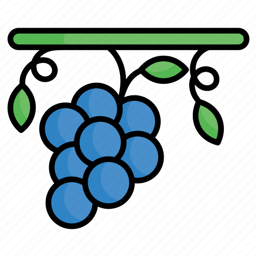 Grapes, fruit, healthy, bunch, berries, organic icon - Download on Iconfinder