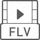 basic, file, flv, video