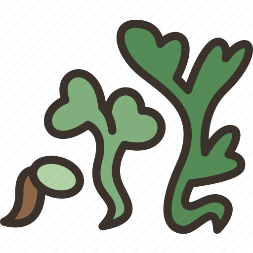 Growth, sprout, seedling, plants, nature icon - Download on Iconfinder