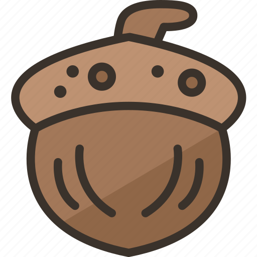 Acorn, oak, nut, seed, tree icon - Download on Iconfinder