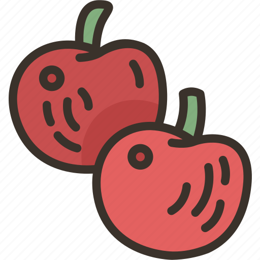 Apples, fruit, food, tree, garden icon - Download on Iconfinder