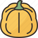 pumpkins, vegetable, plant, farm, autumn