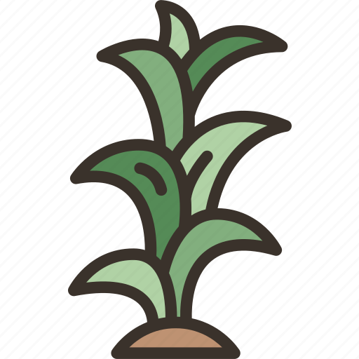 Stalk, plant, stem, growth, agriculture icon - Download on Iconfinder