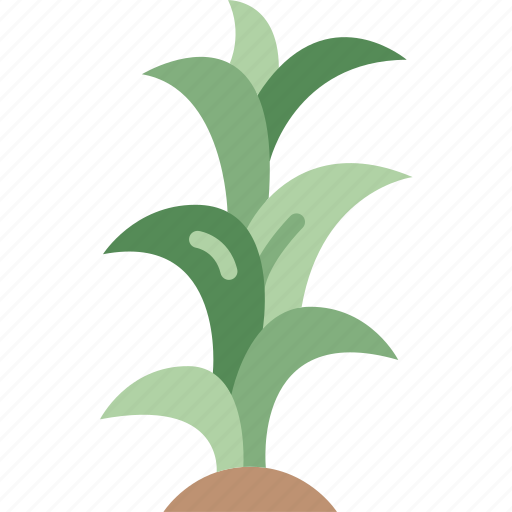 Stalk, plant, stem, growth, agriculture icon - Download on Iconfinder