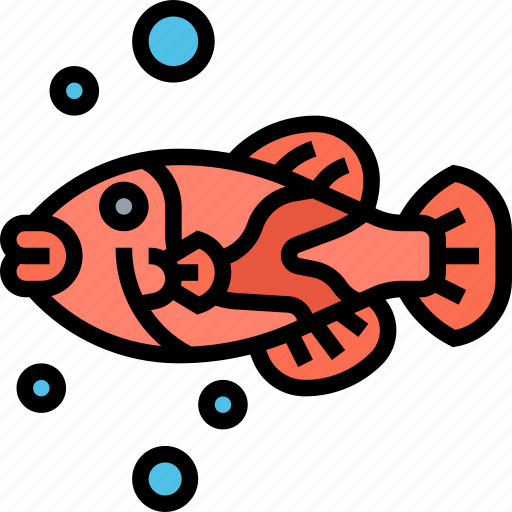 Fish, triggerfish, marine, animal, hawaii icon - Download on Iconfinder