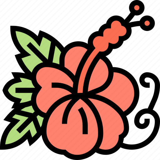 Flower, hibiscus, blossom, tropical, nature icon - Download on Iconfinder