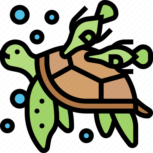 Turtle, sea, marine, animal, natural icon - Download on Iconfinder