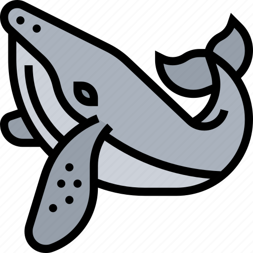 Whale, humpback, marine, animal, wildlife icon - Download on Iconfinder