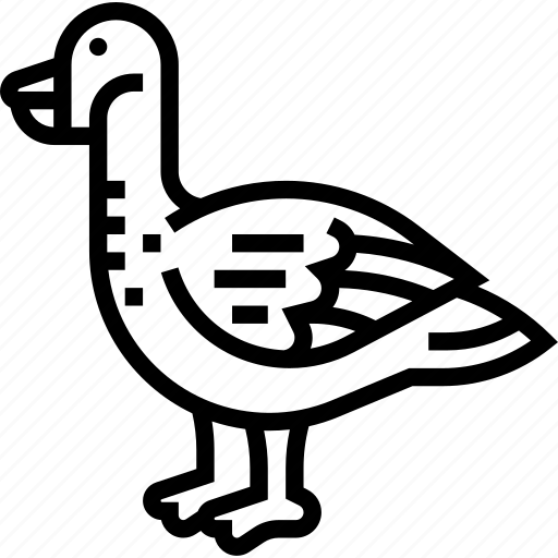 Bird, goose, nene, hawaii, animal icon - Download on Iconfinder