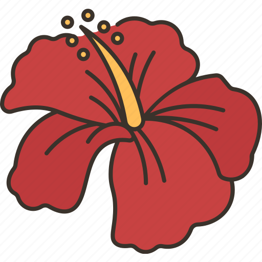 Hibiscus, flower, bloom, plant, tropical icon - Download on Iconfinder