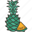 pineapple, fruit, juicy, organic, tropical 