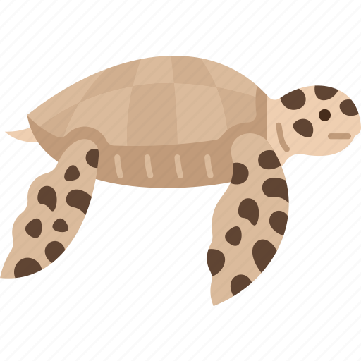 Turtle, sea, wildlife, animal, ocean icon - Download on Iconfinder
