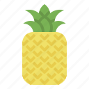 fruit, hawaii, natural, organic, pineapple 