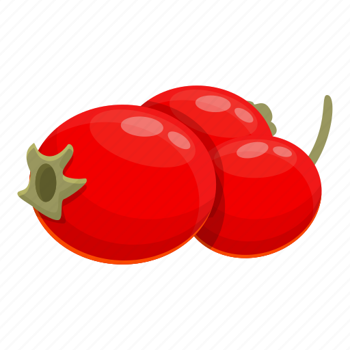 Hawthorn, fruits, healthy, berry icon - Download on Iconfinder