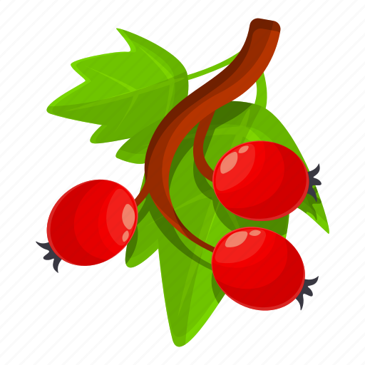 Cluster, hawthorn, herbal, truss icon - Download on Iconfinder
