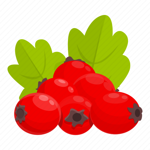 Forest, hawthorn, berry, natural icon - Download on Iconfinder