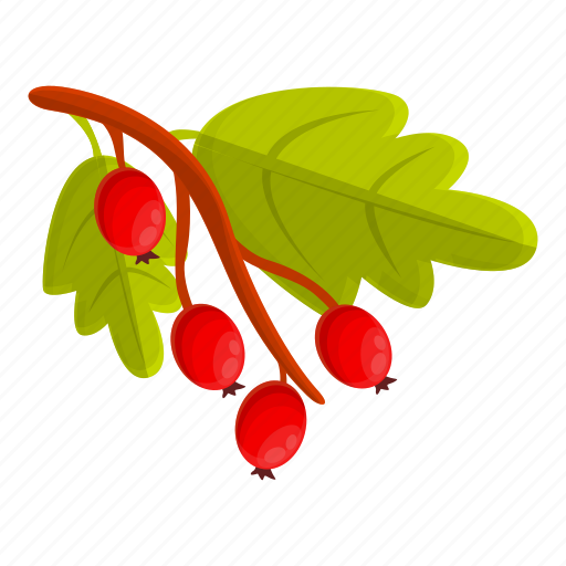 Branch, hawthorn, berry icon - Download on Iconfinder