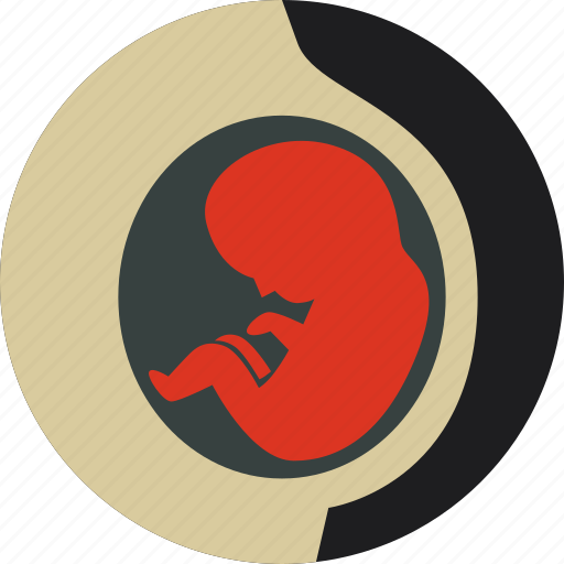 Embryo, fetus, newborn, obstetrics, pregnancy icon - Download on Iconfinder