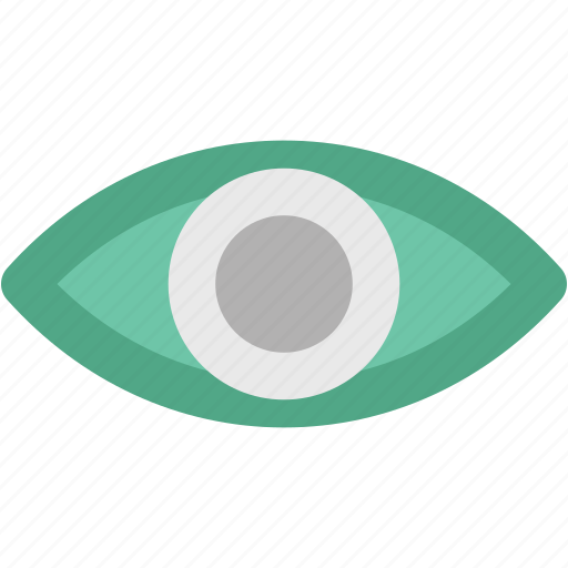 Eye, human eye, ophthalmologists, optometrists, view, visible, vision icon - Download on Iconfinder