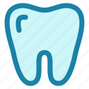 tooth, dental, dentist, teeth, medical, health, dental-care, healthcare, care