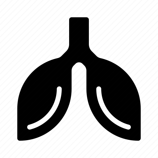Liver, medical, anatomy, body, parts, organ icon - Download on Iconfinder