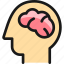 brain, head