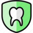 dentistry, tooth, shield