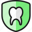 dentistry, tooth, shield 