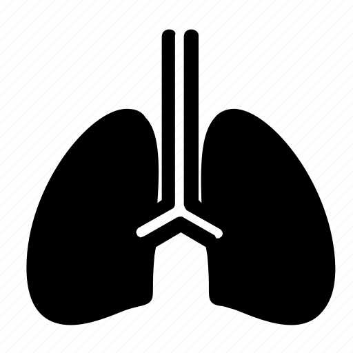 Lungs, healthcare icon - Download on Iconfinder