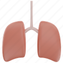 lungs, respiratory, pneumonia, pulmonary, anatomy, human, infection, care, medical