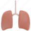 lungs, respiratory, pneumonia, pulmonary, anatomy, human, infection, care, medical 