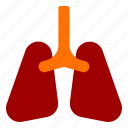 lungs, organ, anatomy, lung, breath