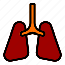 lungs, organ, anatomy, lung, breath