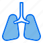 lungs, organ, anatomy, lung, breath 