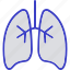 lungs, virus, disease, flu 
