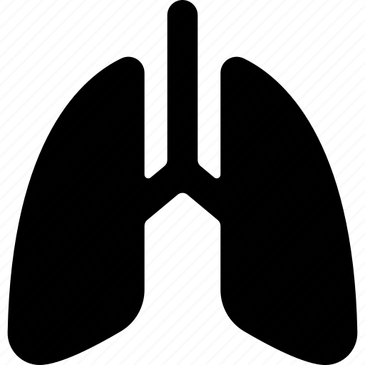 Medical, specialty, lungs, health, beauty, pulmonology icon - Download on Iconfinder
