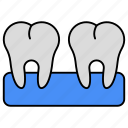 teeth, dentology, stomatology, dentistry, healthy tooth