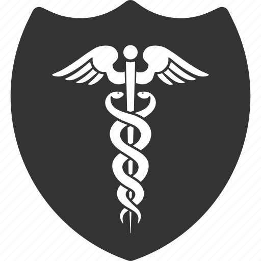 Medical, shield, care, health, healthcare, medicine, protection icon - Download on Iconfinder