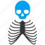 skeleton, anatomy, bones, dead, death, skull, body 