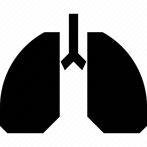 Anatomy, breath, internal, lungs, organ, pulmonology icon - Download on Iconfinder