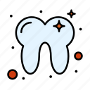 dental, teeth, tooth, treatment