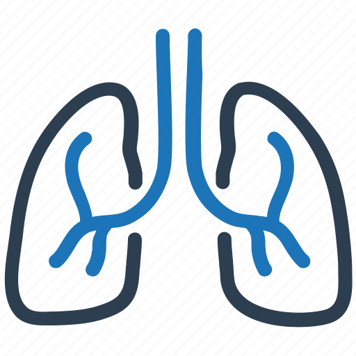 Human, lungs, pulmonology icon - Download on Iconfinder