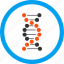 biology, dna spiral, genetic engineering, genetical science, genetics, genome chain, structure 