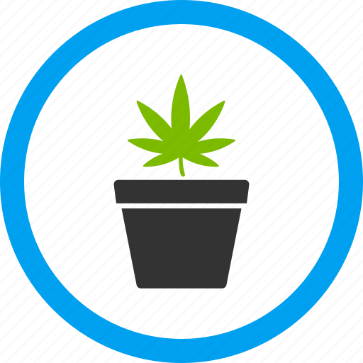 Cannabis, hemp, herb, illegal plant, leaf, marijuana, pot icon - Download on Iconfinder