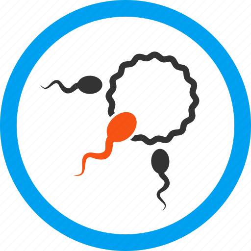 Fertility, fertilization, insemination, ovary, ovum, penetration, reproduction icon - Download on Iconfinder