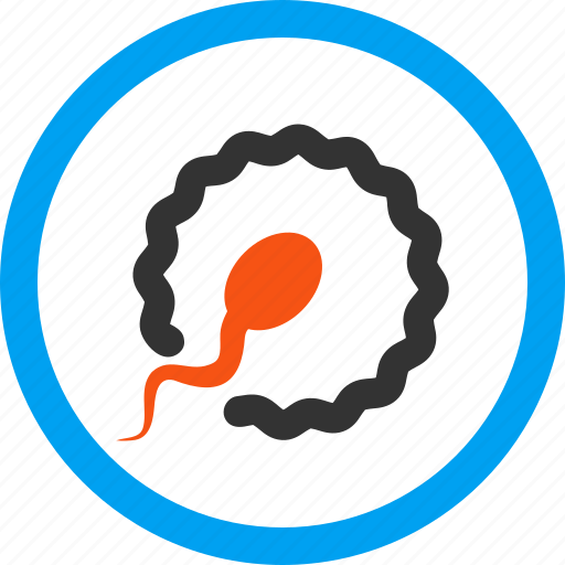 Fertility, fertilization, fertilize, insemination, penetration, procreation, reproduction icon - Download on Iconfinder
