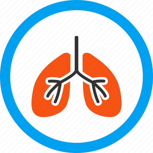 Anatomy, body, breath system, breathe, lung, patient lungs, respiratory icon - Download on Iconfinder