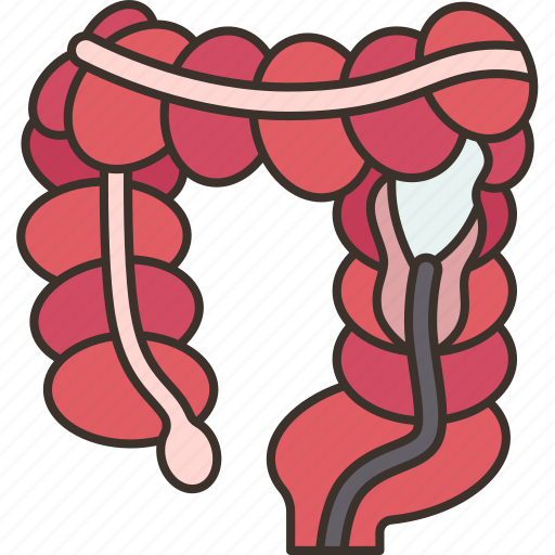 Colon, exam, health, medical, screening icon - Download on Iconfinder