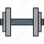 dumbbell, exercise, fitness, gym, weight, weightlifting 