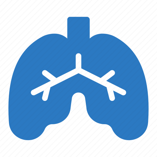 Body, breath, lungs, organ, pulmonology icon - Download on Iconfinder